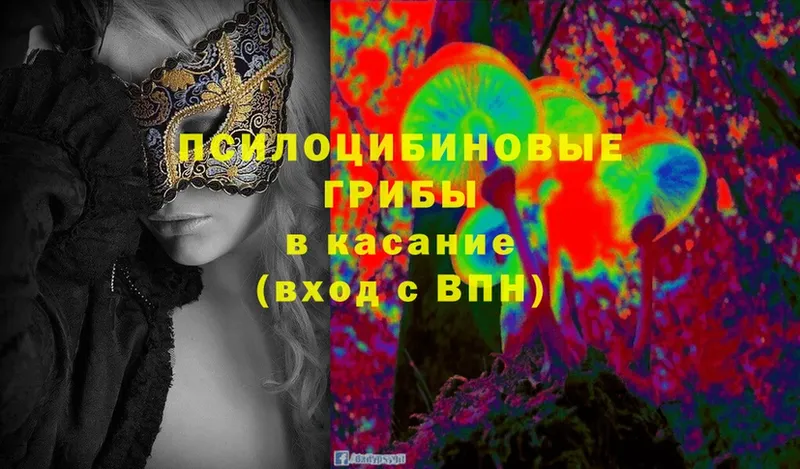 Галлюциногенные грибы Magic Shrooms  kraken зеркало  Тольятти 